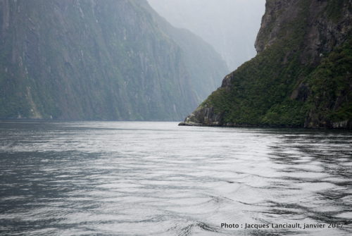 Spirit of Milford, Southern Discoveries, Milford Sound, île du Sud, Nouvelle-Zélande