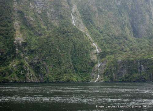 Spirit of Milford, Southern Discoveries, Milford Sound, île du Sud, Nouvelle-Zélande