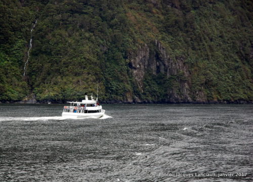 Spirit of Milford, Southern Discoveries, Milford Sound, île du Sud, Nouvelle-Zélande