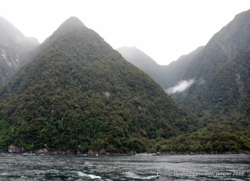 Spirit of Milford, Southern Discoveries, Milford Sound, île du Sud, Nouvelle-Zélande