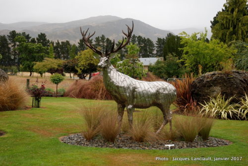 Jardins Mrs Jones, Otago, île du Sud, Nouvelle-Zélande