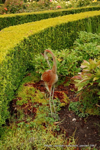 Jardins Mrs Jones, Otago, île du Sud, Nouvelle-Zélande