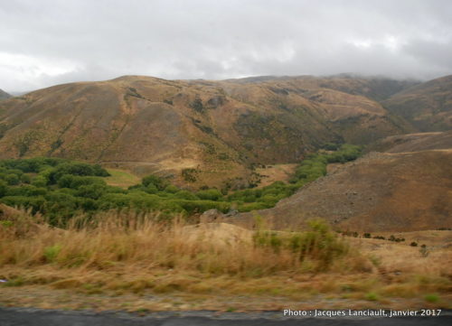 Otago, île du Sud, Nouvelle-Zélande