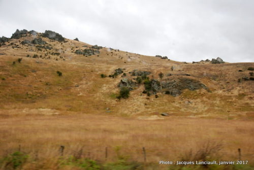 Otago, île du Sud, Nouvelle-Zélande
