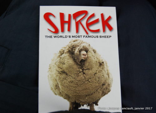 Shrek, Otago, île du Sud, Nouvelle-Zélande