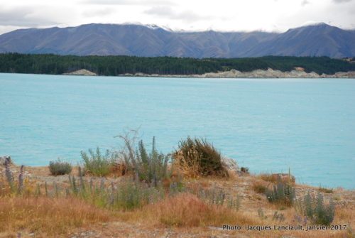 Lac Pukaki, île du Sud, Nouvelle-Zélande