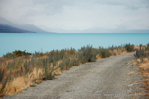 Lac Pukaki, île du Sud, Nouvelle-Zélande