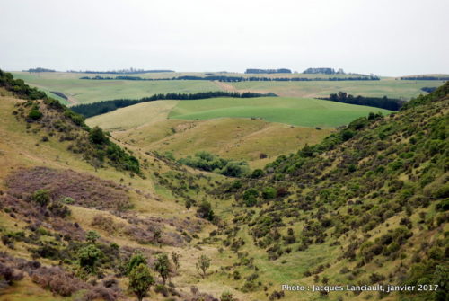 Plaines du Canterbury, île du Sud, Nouvelle-Zélande