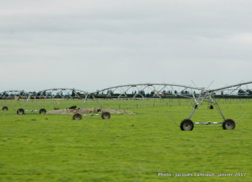 Plaines du Canterbury, île du Sud, Nouvelle-Zélande