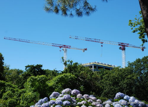 Jardin botanique, Christchurch, île du Sud, Nouvelle-Zélande