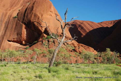 Mont Uluru-Ayers Rock, Territoire du Nord, Australie