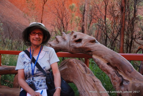 28 janvier 2017 - Mont Uluru-Ayers Rock, Territoire du Nord, Australie