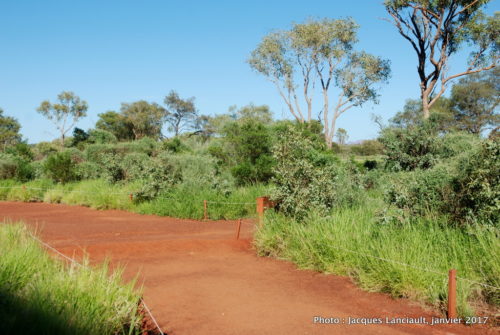 Mont Uluru-Ayers Rock, Territoire du Nord, Australie