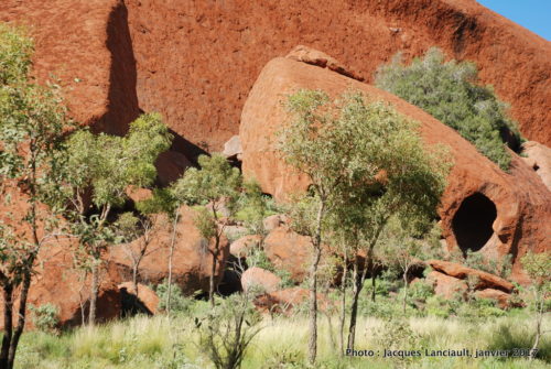 Mont Uluru-Ayers Rock, Territoire du Nord, Australie
