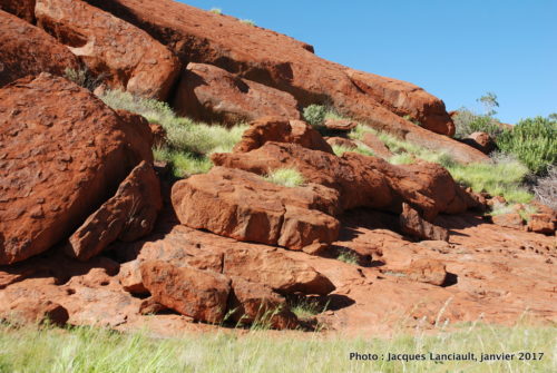 Mont Uluru-Ayers Rock, Territoire du Nord, Australie