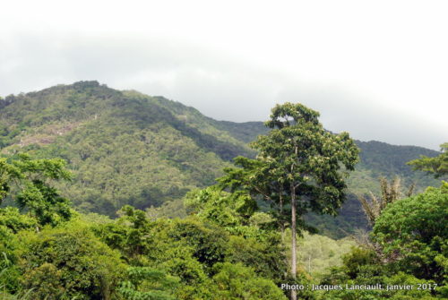 Kuranda Scenic Railway, Queensland, Australie