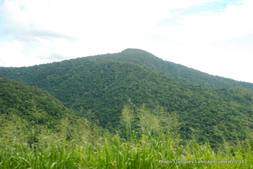 Kuranda Scenic Railway, Queensland, Australie