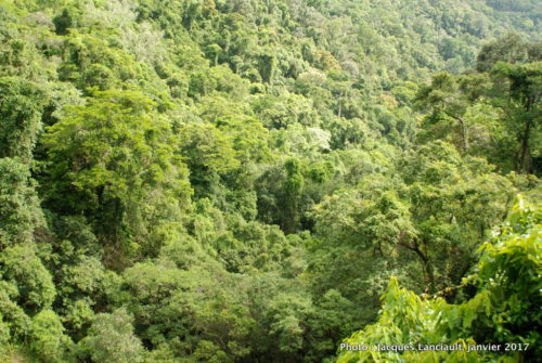 Kuranda Scenic Railway, Queensland, Australie