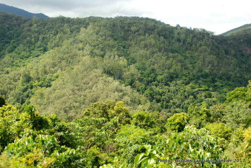Kuranda Scenic Railway, Queensland, Australie