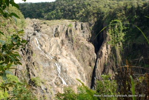 Kuranda Scenic Railway, Queensland, Australie