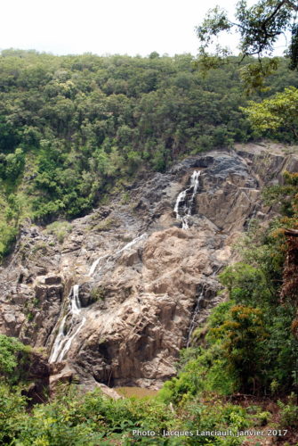 Skyrail Rainforest Cableway, Kuranda, Queensland, Australie