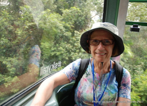 29 janvier 2017 - Skyrail Rainforest Cableway, Kuranda, Queensland, Australie