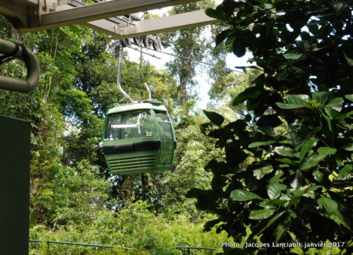 Skyrail Rainforest Cableway, Kuranda, Queensland, Australie