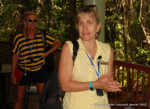 Skyrail Rainforest Cableway, Kuranda, Queensland, Australie