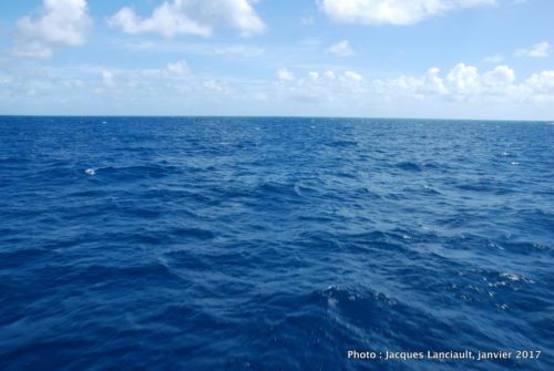 Mer de Corail, Queensland, Australie
