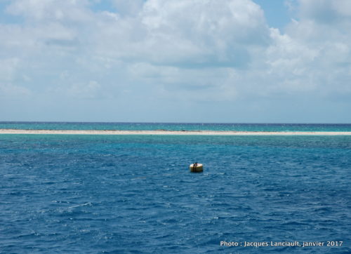 Michaelmas Cay, mer de Corail, Queensland, Australie