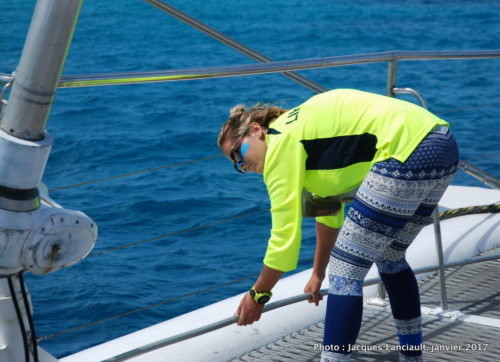 Ocean Spirit, mer de Corail, Queensland, Australie