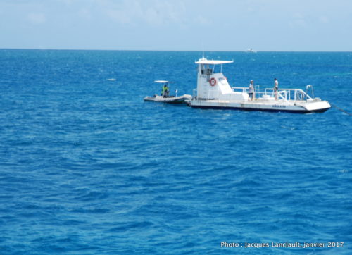 Ocean Spirit, mer de Corail, Queensland, Australie