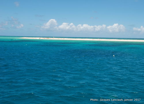 Michaelmas Cay, mer de Corail, Queensland, Australie