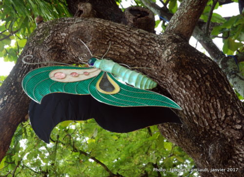 Cairns, Queensland, Australie