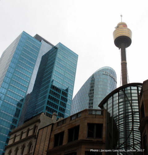 Sydney Tower, Sydney, Nouvelle-Galles-du-Sud, Australie