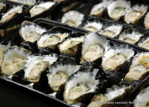 Sydney Fish Market, Sydney, Nouvelle-Galles-du-Sud, Australie