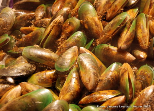 Sydney Fish Market, Sydney, Nouvelle-Galles-du-Sud, Australie