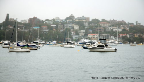 Rose Bay, Sydney, Nouvelle-Galles-du-Sud, Australie
