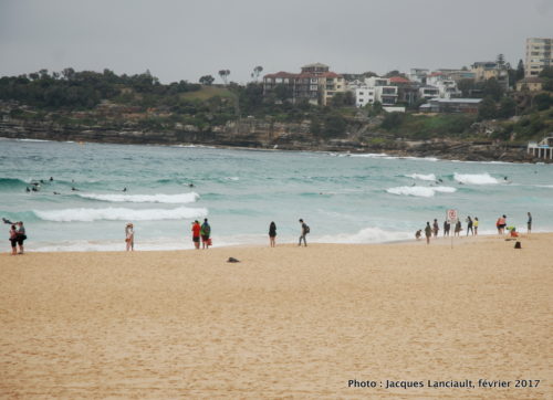 Bondi Beach, Sydney, Nouvelle-Galles-du-Sud, Australie