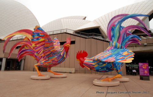 Opéra de Sydney, Sydney, Nouvelle-Galles-du-Sud, Australie
