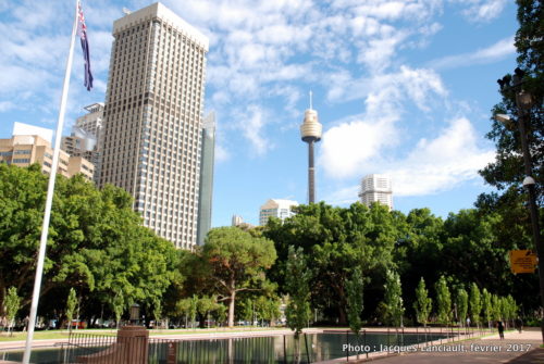 Sydney Tower, Sydney, Nouvelle-Galles-du-Sud, Australie