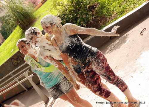 Plaza Doctor Bernardo H. Houssay, Buenos Aires, Argentine