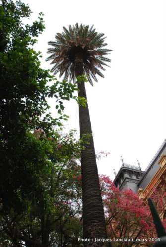 Palacio de Aguas Corrientes, Buenos Aires, Argentine