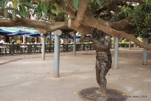 Gomero de la Plaza Juan XXIII, Quartier Recoleta, Buenos Aires, Argentine