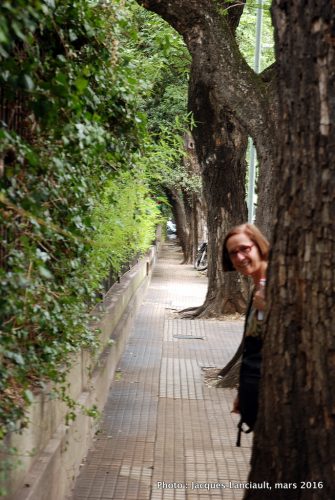 4 mars 2016 - Quartier Palermo, Buenos Aires, Argentine