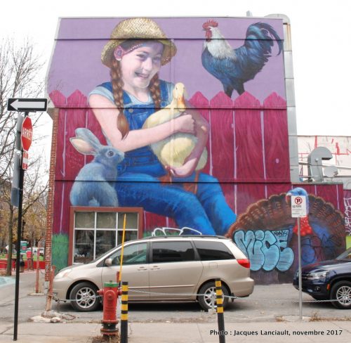 La jeune fermière, Montréal, Québec