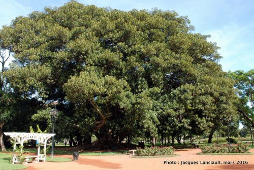 Jardín de los Poetas, El Rosedal, Parlermo, Buenos Aires, Argentine