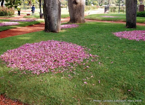 Jardín de los Poetas, El Rosedal, Parlermo, Buenos Aires, Argentine