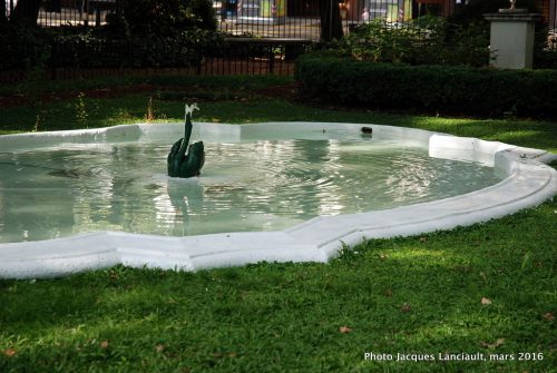 Le Cygne, Jardín Botánico Carlos Thays, quartier Palermo, Buenos Aires, Argentine