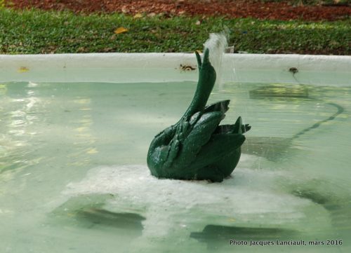 Le Cygne, Jardín Botánico Carlos Thays, quartier Palermo, Buenos Aires, Argentine